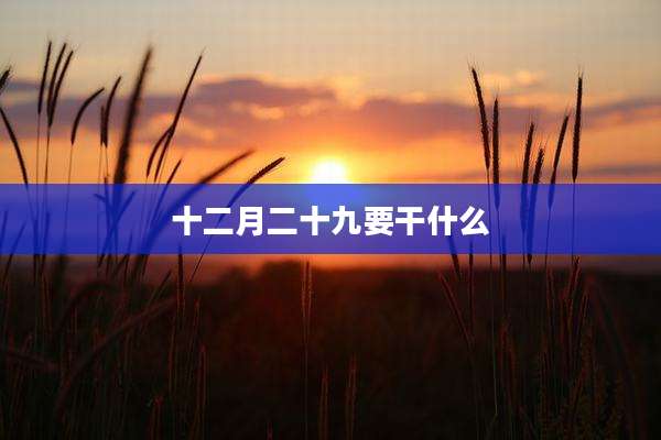 十二月二十九要干什么