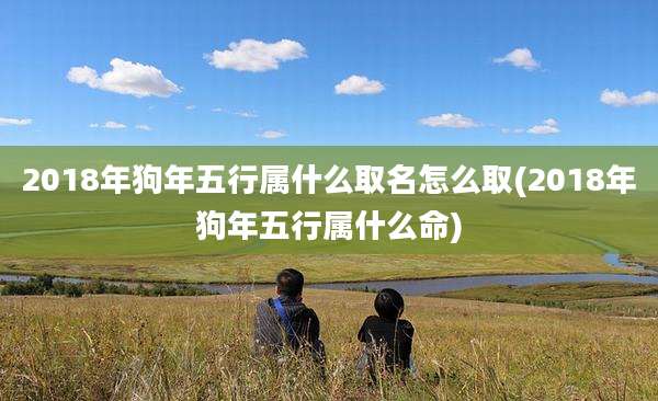 2018年狗年五行属什么取名怎么取(2018年狗年五行属什么命)