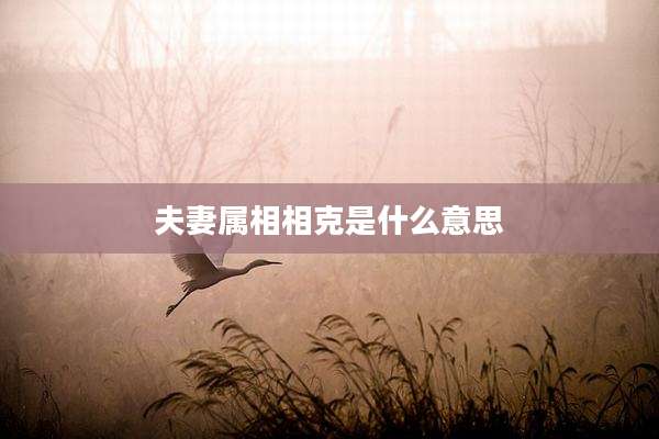 夫妻属相相克是什么意思