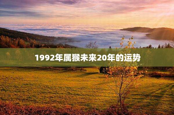 1992年属猴未来20年的运势