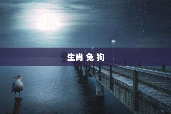 生肖 兔 狗