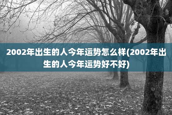 2002年出生的人今年运势怎么样(2002年出生的人今年运势好不好)