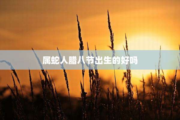 属蛇人腊八节出生的好吗