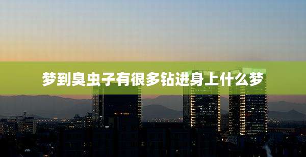 梦到臭虫子有很多钻进身上什么梦