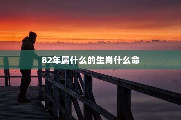 82年属什么的生肖什么命