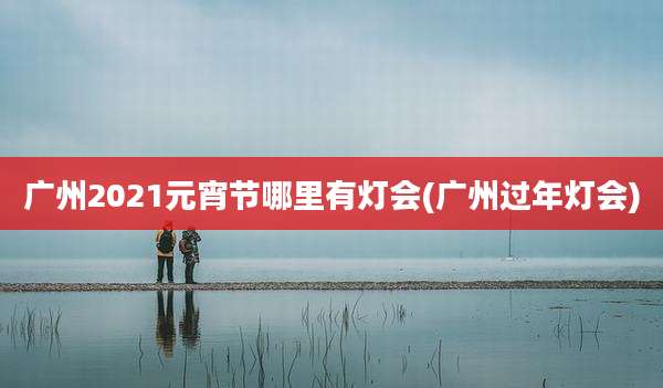 广州2021元宵节哪里有灯会(广州过年灯会)