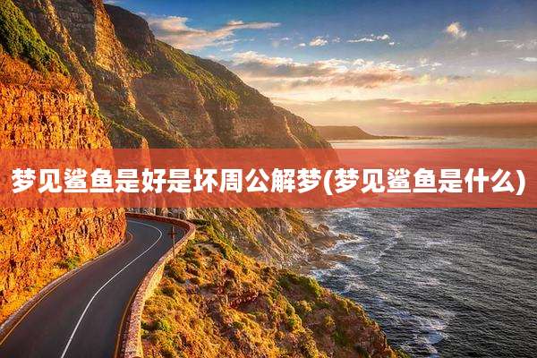 梦见鲨鱼是好是坏周公解梦(梦见鲨鱼是什么)
