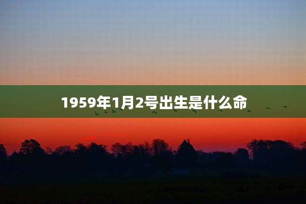 1959年1月2号出生是什么命