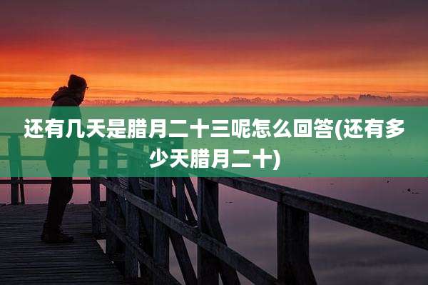 还有几天是腊月二十三呢怎么回答(还有多少天腊月二十)