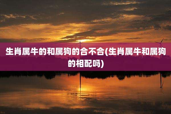生肖属牛的和属狗的合不合(生肖属牛和属狗的相配吗)