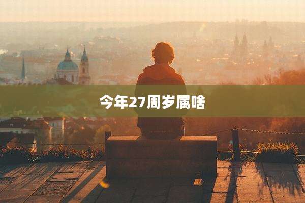 今年27周岁属啥