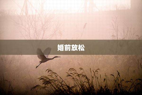 婚前放松