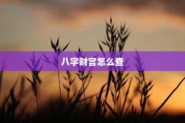八字财宫怎么查