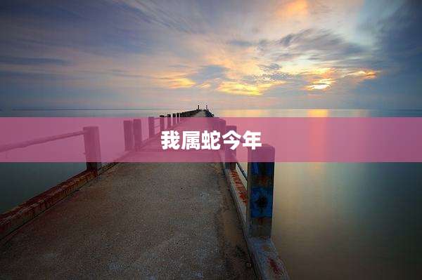 我属蛇今年