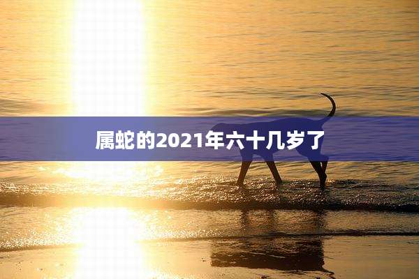 属蛇的2021年六十几岁了