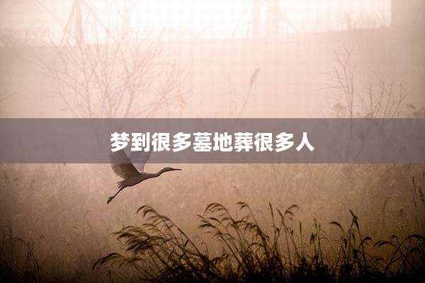 梦到很多墓地葬很多人