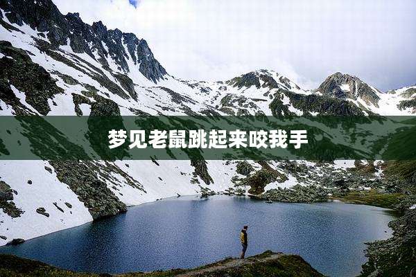 梦见老鼠跳起来咬我手