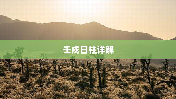 壬戌日柱详解
