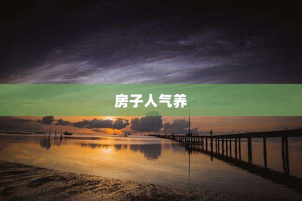 房子人气养