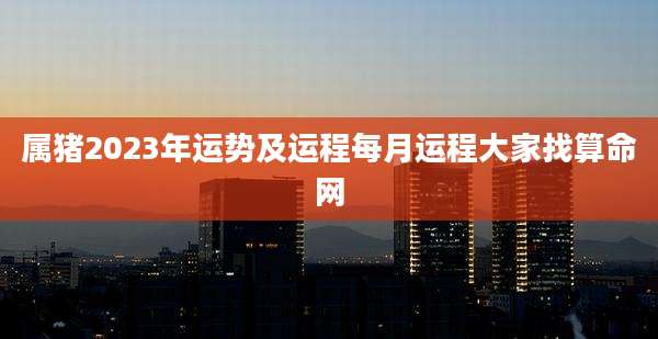 属猪2023年运势及运程每月运程大家找算命网