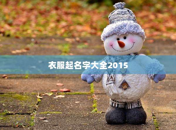 衣服起名字大全2015