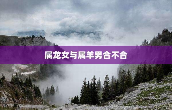 属龙女与属羊男合不合