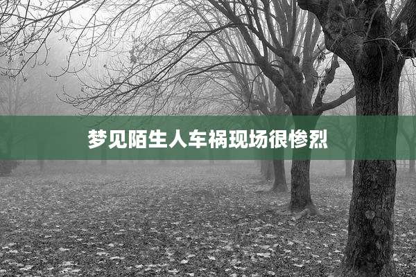 梦见陌生人车祸现场很惨烈