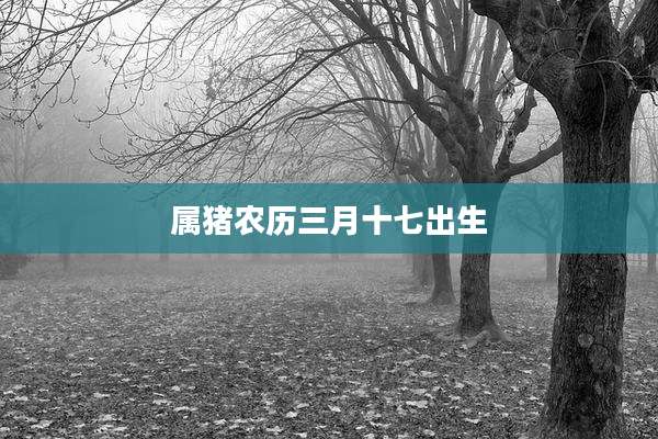 属猪农历三月十七出生