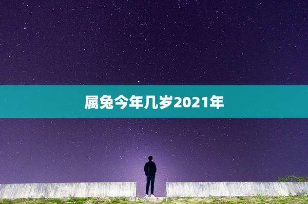 属兔今年几岁2021年