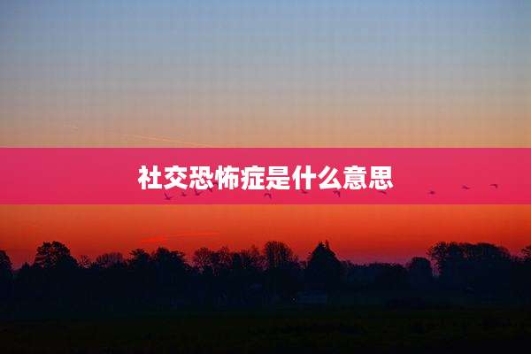 社交恐怖症是什么意思