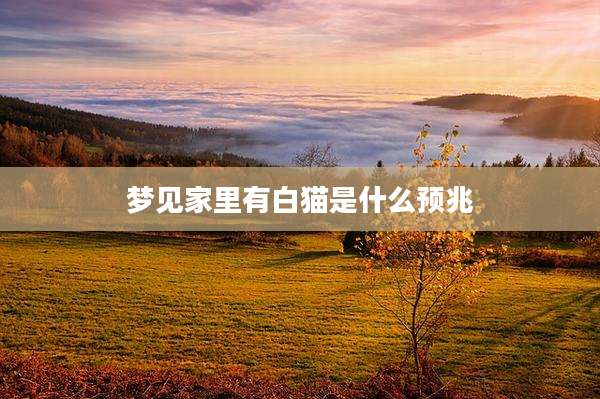梦见家里有白猫是什么预兆