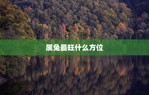 属兔最旺什么方位