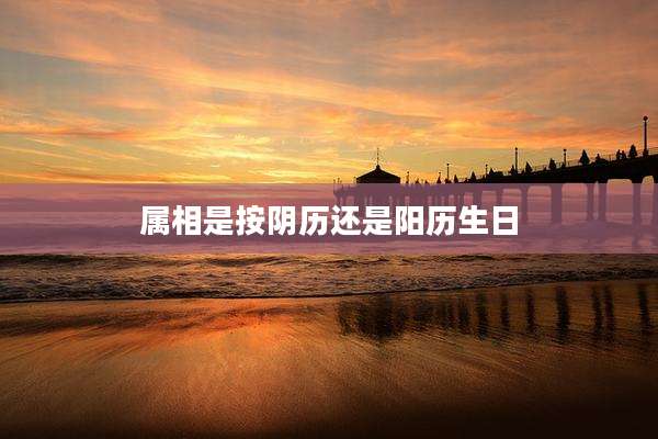 属相是按阴历还是阳历生日