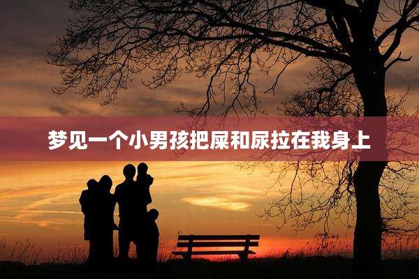 梦见一个小男孩把屎和尿拉在我身上