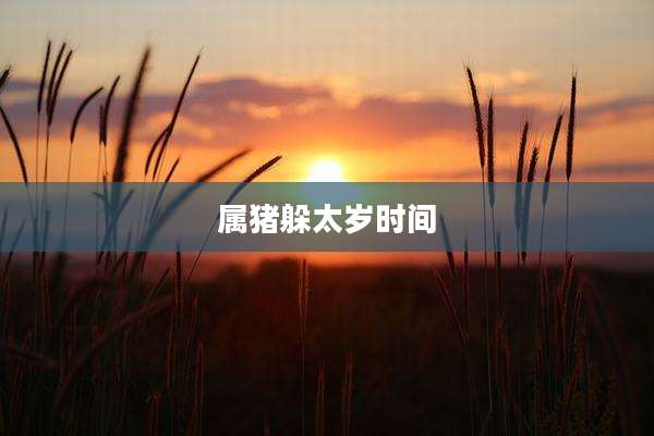 属猪躲太岁时间