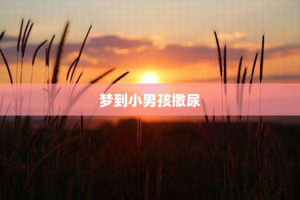 梦到小男孩撒尿