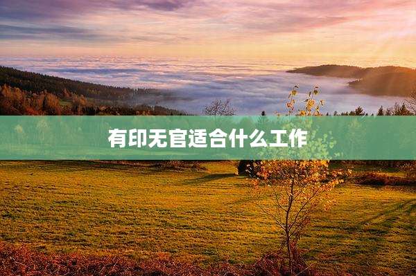 有印无官适合什么工作