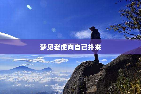 梦见老虎向自已扑来