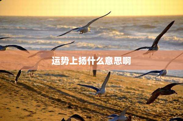 运势上扬什么意思啊