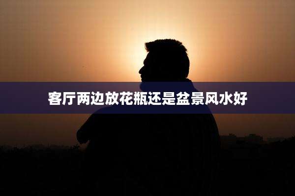 客厅两边放花瓶还是盆景风水好