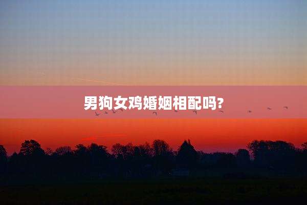 男狗女鸡婚姻相配吗?