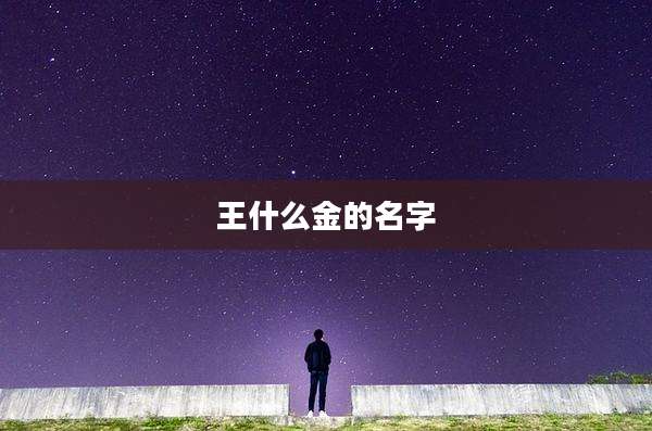 王什么金的名字