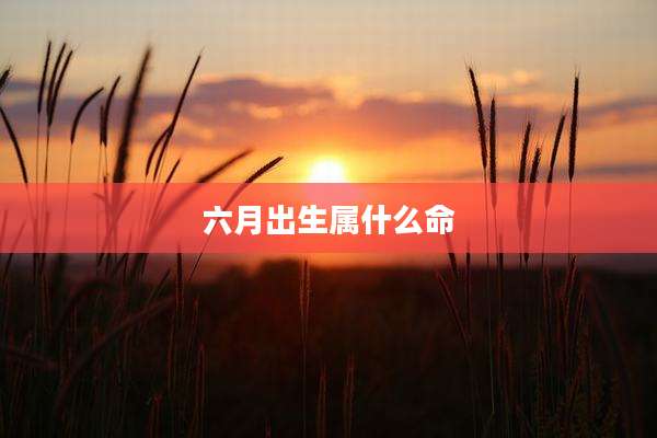 六月出生属什么命