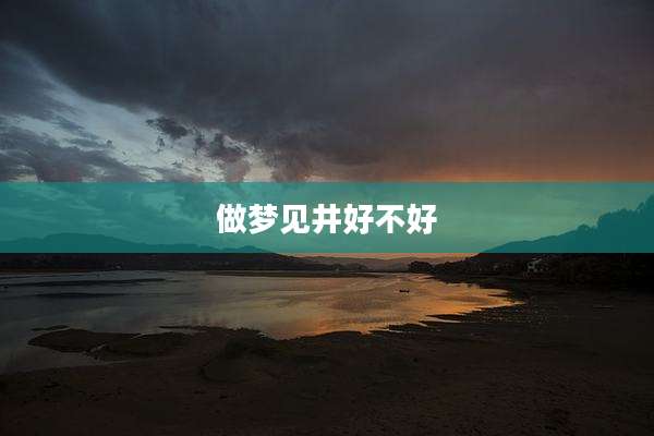 做梦见井好不好