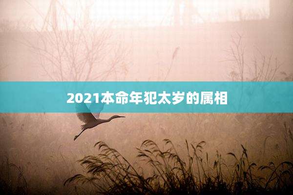 2021本命年犯太岁的属相