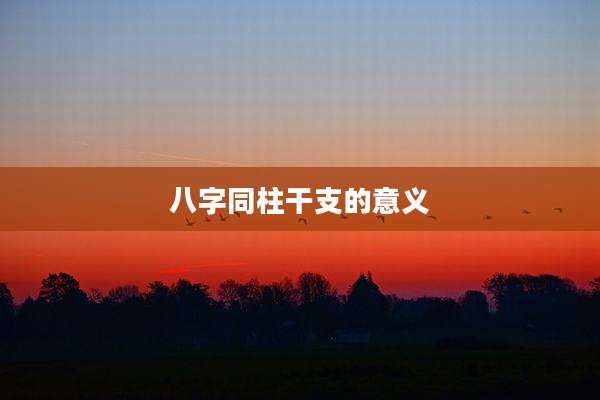 八字同柱干支的意义