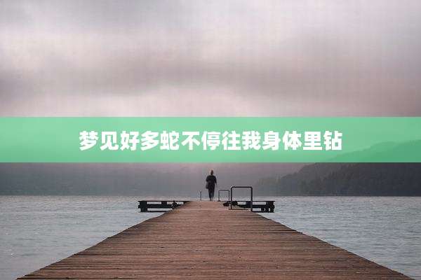 梦见好多蛇不停往我身体里钻