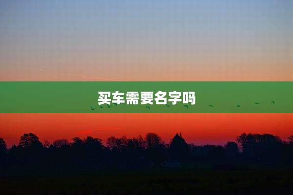买车需要名字吗