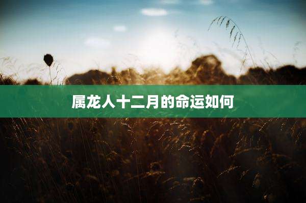 属龙人十二月的命运如何