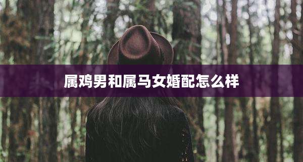 属鸡男和属马女婚配怎么样